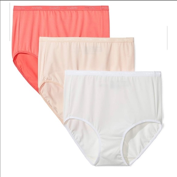 Olga ~ Women's Microfiber Brief Underwear Panties Polyester 3-Pair (E) ~ 2X/20